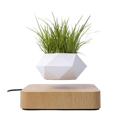 Levitating Flower Pot – Magnetic Floating Planter for Home, Office & Décor