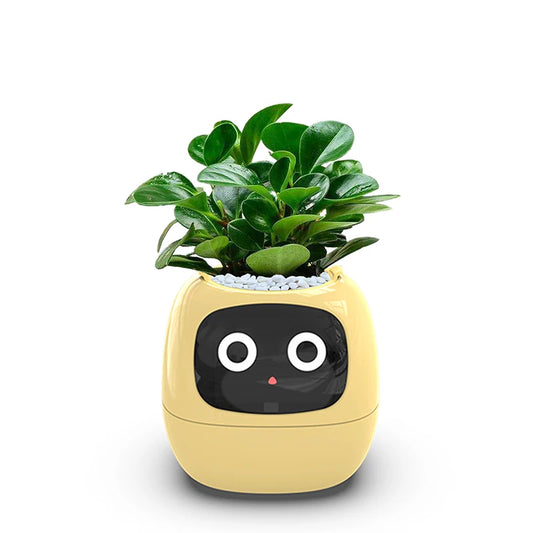 Smart Small Flower Pot – Self-Watering Planter for Indoor Plants – Easy Plant Care & Growth