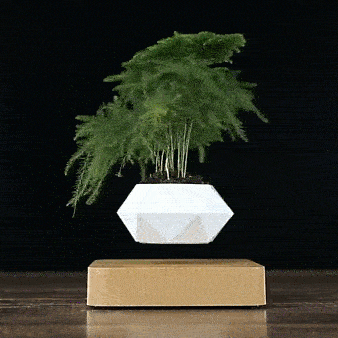 Levitating Flower Pot – Magnetic Floating Planter for Home, Office & Décor