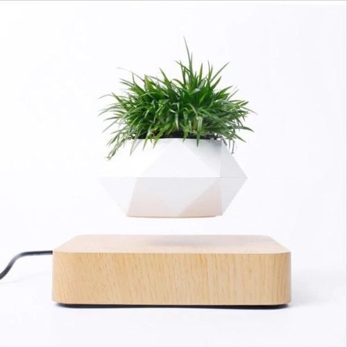 Levitating Flower Pot – Magnetic Floating Planter for Home, Office & Décor