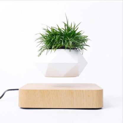 Levitating Flower Pot – Magnetic Floating Planter for Home, Office & Décor