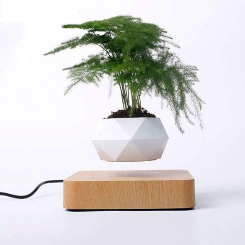 Levitating Flower Pot – Magnetic Floating Planter for Home, Office & Décor