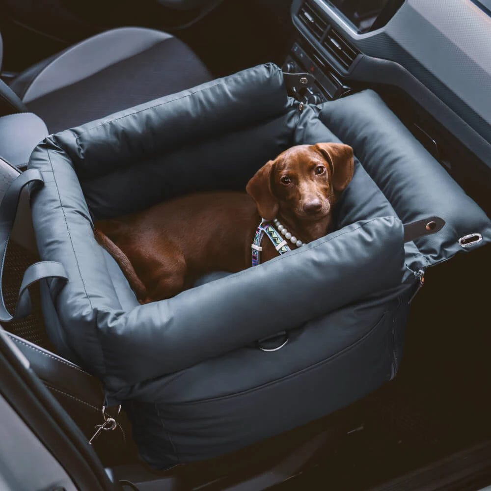 Dog Car Seat Bed with Safety Buckle – Cozy Travel Pet Booster for Cars & SUVs – Secure Comfort on the Go