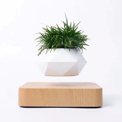 Levitating Flower Pot – Magnetic Floating Planter for Home, Office & Décor